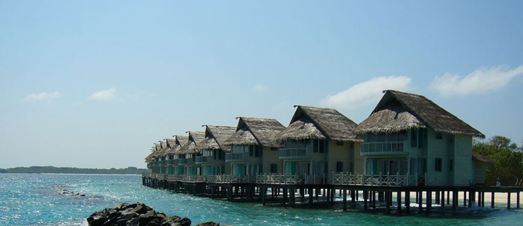 月桂岛 J Resort Alidhoo